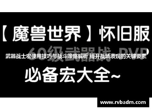 武器战士宏使用技巧与战斗策略解析 提升战场表现的关键要素